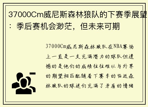 37000Cm威尼斯森林狼队的下赛季展望：季后赛机会渺茫，但未来可期